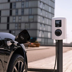 Alfen Eve Single Duo montagepaal - Ecowatts.be