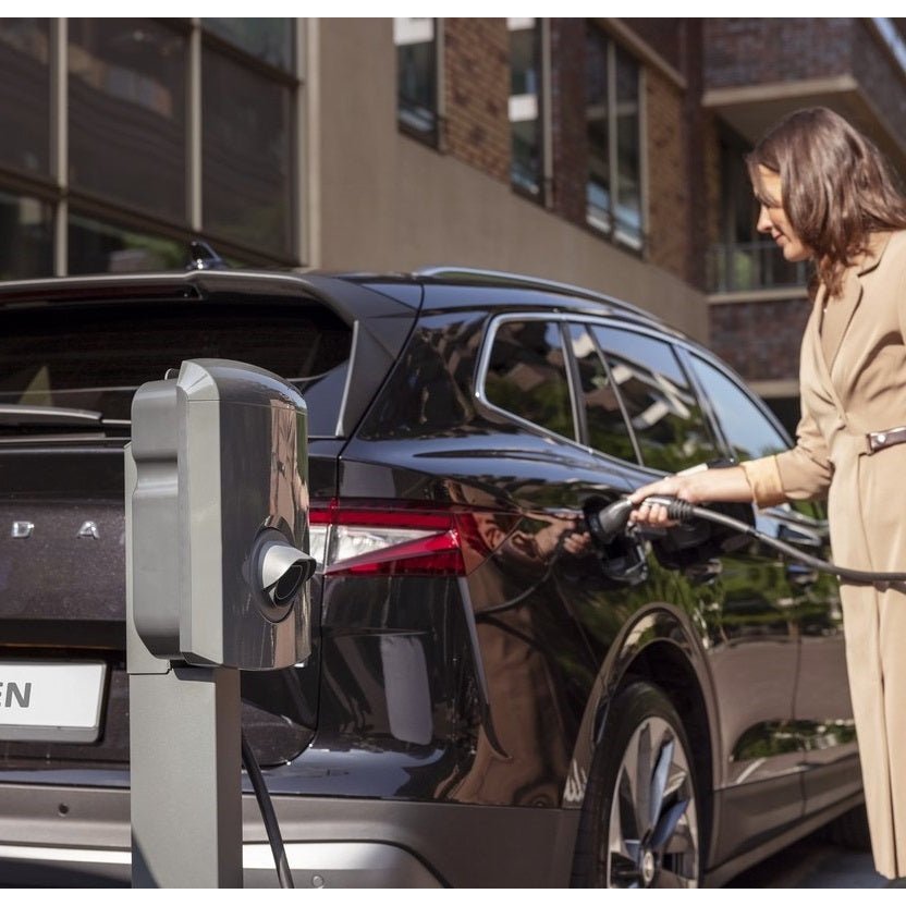 Alfen Eve Single Pro - line voorzijde kap grijs RAL7043 - Ecowatts.be