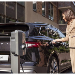 Alfen Eve Single Pro - line voorzijde kap grijs RAL7043 - Ecowatts.be