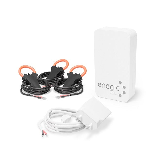 Charge Amps Enegic Monitor EMS