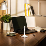 Home Assistant Connect ZBT - 2 Antenne Zigbee Thread - Ecowatts.be
