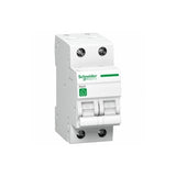 Schneider Residential - RESI9 automaat - 2 polig - C curve - Ecowatts.be
