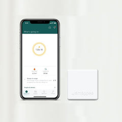 Smappee P1 module - oude versie